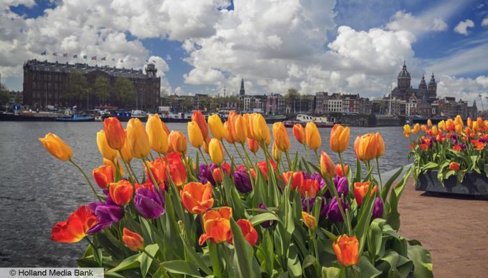 Tulipfestival 2016 - (c) Holland Media Bank