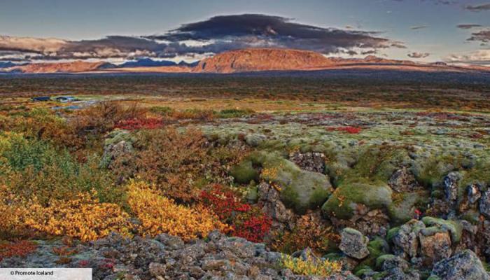 Iceland